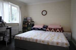 Photo 14- click for photo gallery